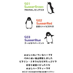 卸：５０３　水出しハーブティーSummerBlue３包入り（ロット：５）画像