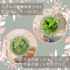 終了【植物蒸留ラボ】２０２２年９月ワークショップ「ミックスミント・レモングラス」の画像