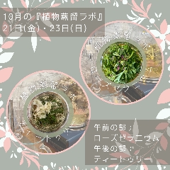 終了【植物蒸留ラボ】２０２２年１０月ワークショップ「ローズゼラニウム・ティートゥリー」の画像