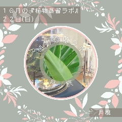 終了【植物蒸留ラボ】２０２３年１０月ワークショップ「月桃」の画像