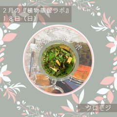 終了【植物蒸留ラボ】２０２４年２月ワークショップ「クロモジ」の画像