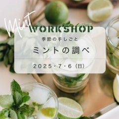 募集中【季節の手しごとワークショップ「ミントの調べ」ランチ付き】２０２５年７月ワークショップの画像