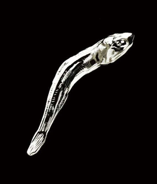 メタルナニボシ 全5種コンプリートセット キタンクラブ カプセルトイ ガチャガチャ ガシャポン ガチャポン 【新品同様品】画像