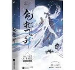 ドラマ小説/ 勿擾飛升 中国版　月下蝶影　中国書籍の画像