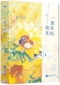 小説/ 一厘米的陽光 中国版　墨寶非寶　墨宝非宝　中国書籍の画像