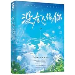 ドラマ小説/ 沒有人像你 中国版　歳見　中国書籍の画像