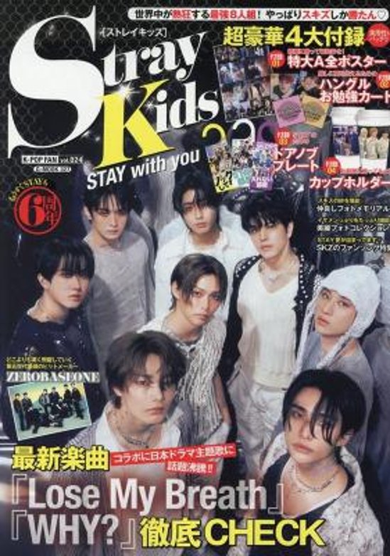 ムック本/ K-POP FAN vol.024 日本版 STRAY KIDS（ストレイキッズ）：特集 ファン G-MOOK画像