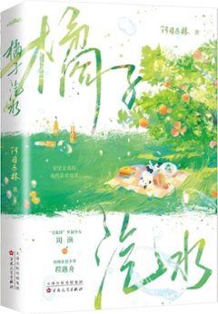 ドラマ小説/ 橘子汽水 中国版　阿司匹林　Orange Soda 中国書籍の画像