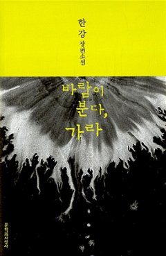 小説/風が吹く、行け 韓国版 ハン・ガン　韓国書籍の画像