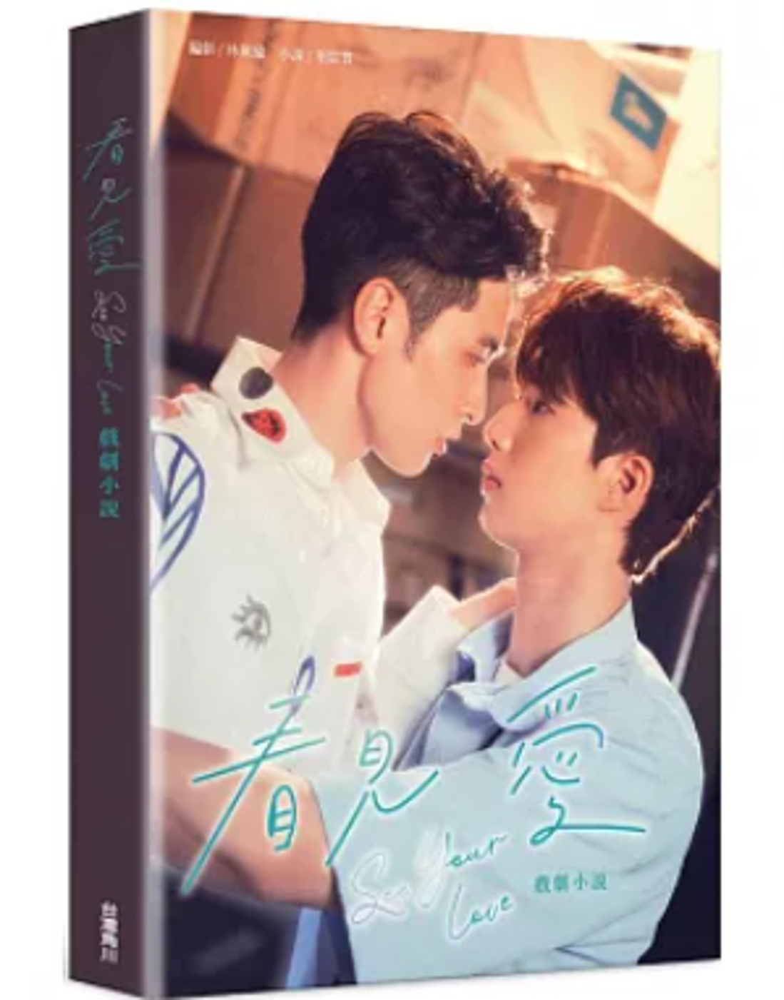 ドラマ小説/ 看見愛 戲劇小說 台湾版 看見愛（カンジエンアイ）～See