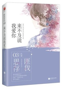 ドラマ小説/ 來不及説我愛&#20320;[2017年版] 中国版　Endless Love (AKA: Too Late To Say I Love You） 匪我思存の画像