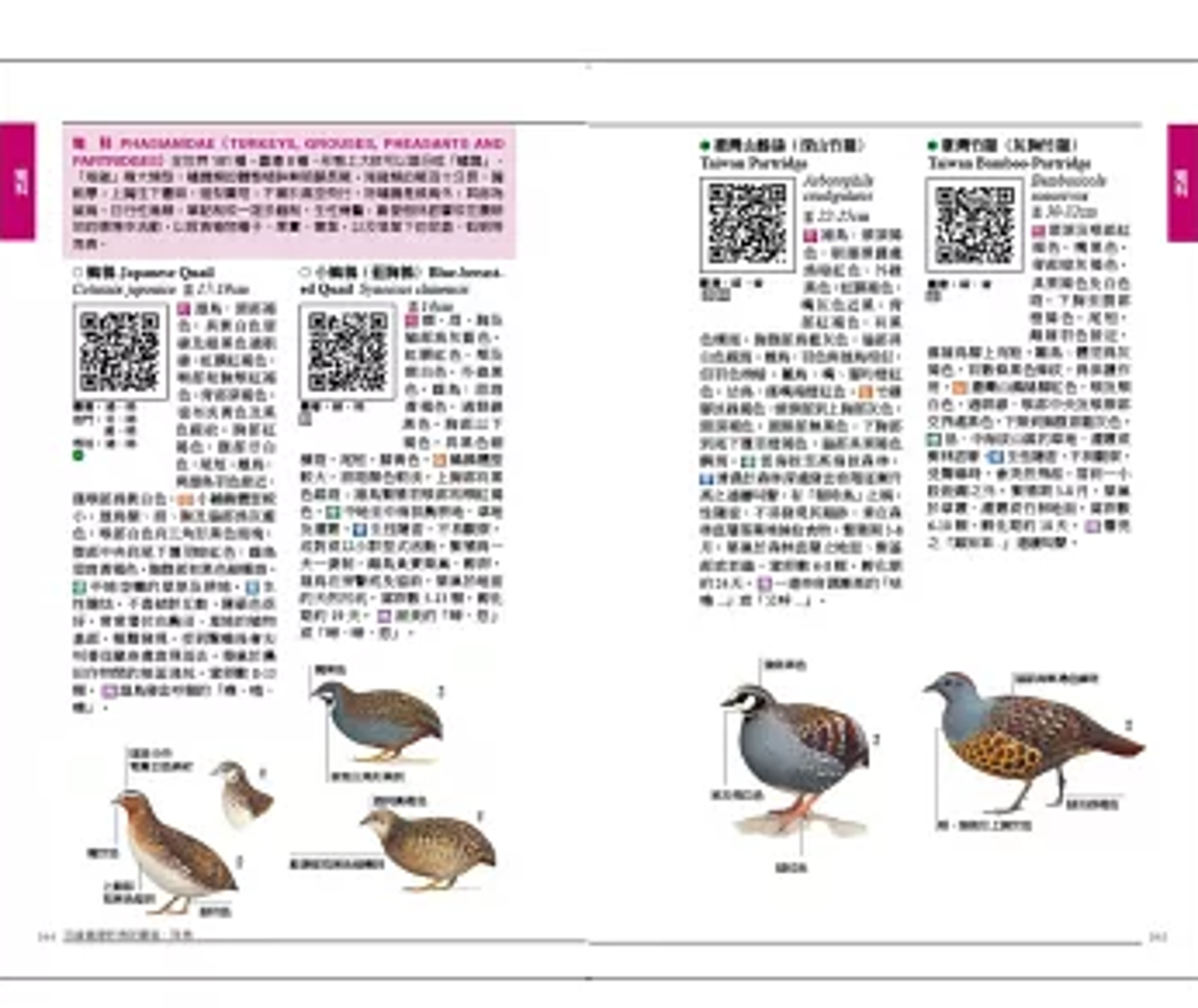 図鑑/ 手繪臺灣野鳥新圖鑑：陸鳥 台湾版 台湾書籍｜創作品モール あるる