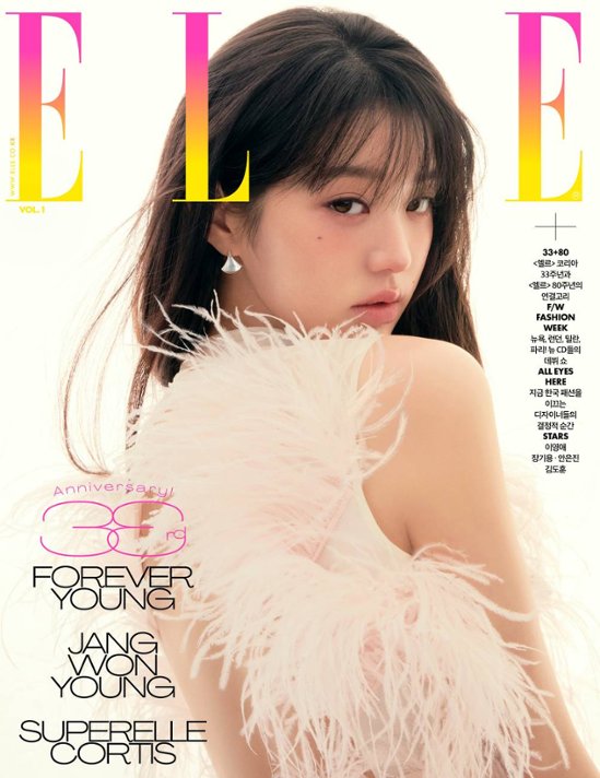 【メール便送料無料】雑誌/ ELLE 2025年11月 ※表紙3種類ランダムで発送 韓国版 IVE チャン・ウォニョン：表紙！記事掲載！韓国雑誌 エル画像