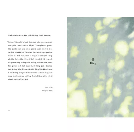 詩集/ 日花閃爍：台語的美麗詞彙&一百首詩 台湾版 台湾語を学べる詩集 温若喬 おんじゃくきょう 現代詩 台湾文学 台湾書籍画像