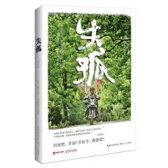 映画小説/ 失孤 中国版　Lost and Lonely　彭三源の画像