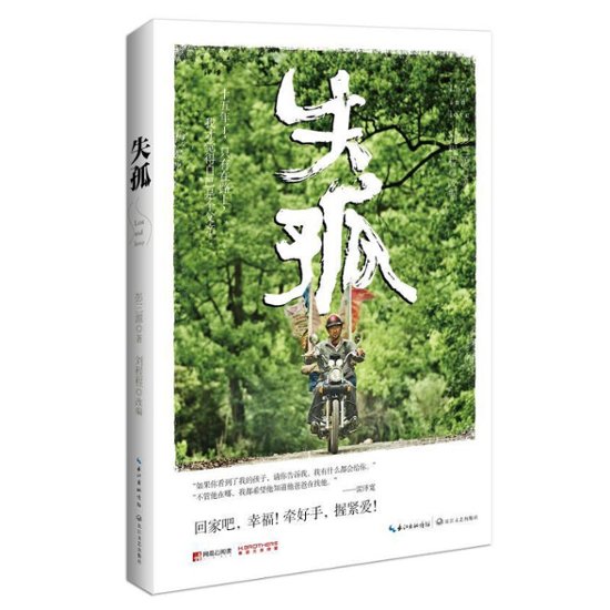 映画小説/ 失孤 中国版　Lost and Lonely　彭三源画像