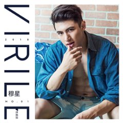 写真集/ 藍男色 VIRILE性感誌男子寫真書 NO.1 穆星 台湾版の画像