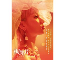 映画ガイド/ 梅艷芳ANITA：電影全紀録　台湾版　アニタ・ムイの画像