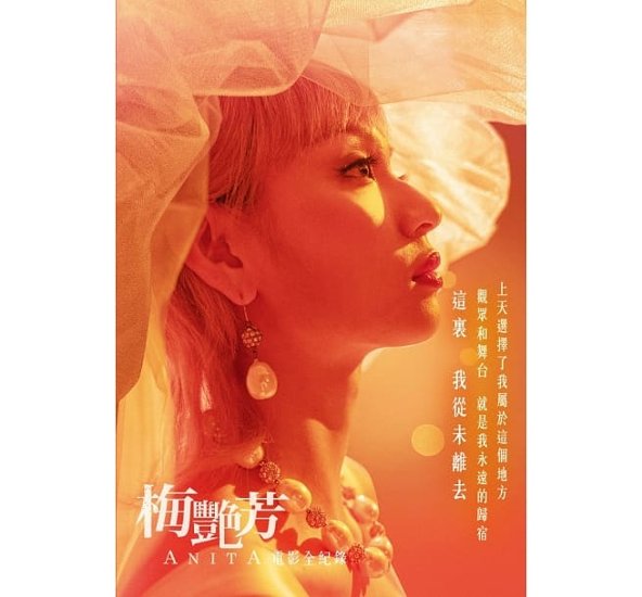 映画ガイド/ 梅艷芳ANITA：電影全紀録　台湾版　アニタ・ムイ画像