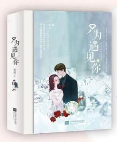 ドラマ小説/ 只為遇見&#20320;（全2冊） 中国版　NICE TO MEET YOU　未再　因為遇見&#20320;2の画像