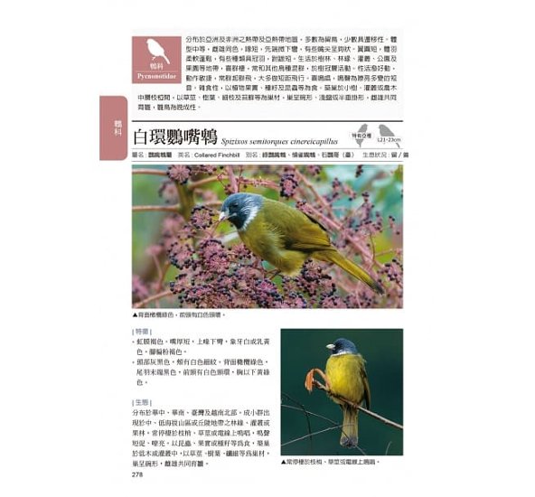 図鑑/ 臺灣野鳥圖鑑 陸鳥篇＜增訂版＞台湾版　台湾野鳥図鑑 陸鳥編 増訂版画像