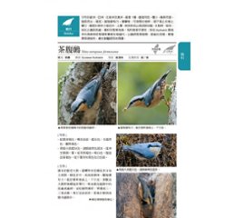 図鑑/ 臺灣野鳥圖鑑 陸鳥篇＜增訂版＞台湾版　台湾野鳥図鑑 陸鳥編 増訂版画像