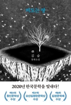 小説/さすらう地　韓国版　キム・スムの画像