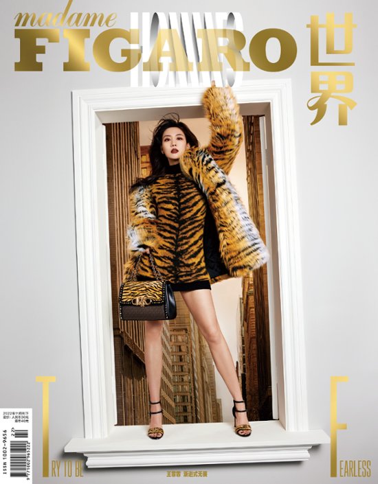 【メール便送料無料】雑誌/ Madame FIGARO Hommes 費加羅雜志 2022年11月 中国版　王霏霏（Fei/ワン・フェイフェイ）：表紙！記事掲載！ マダムフィガロ オム　中国雑誌画像