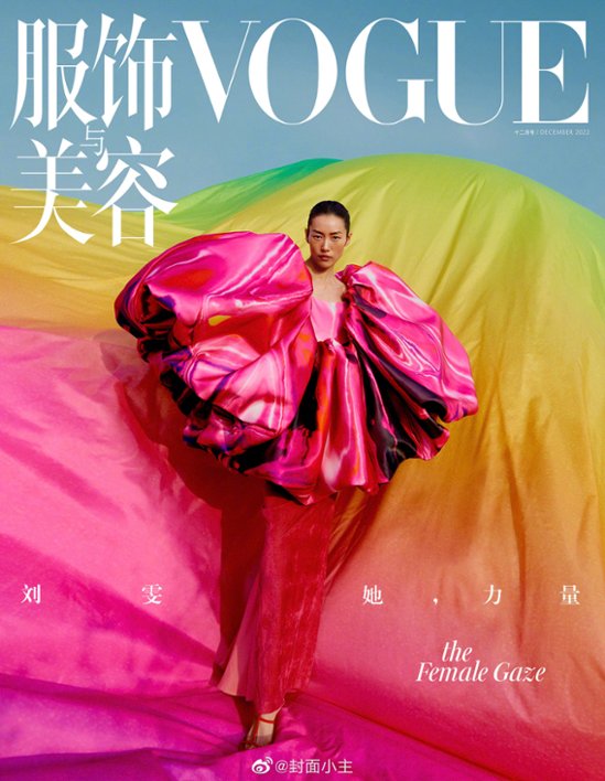 【メール便送料無料】雑誌/ 服飾與美容Vogue 2022年12月刊 中国版　劉雯（リウ・ウェン）：表紙！記事掲載！ ヴォーグ　中国雑誌画像