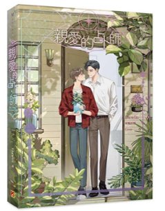 小説/ 親愛的占卜師 台湾版　 Dawin　ダーウィン　ライトノベル　BL　ボーイズラブ　BOYS LOVE ブロマンス　台湾書籍の画像