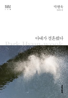 小説/妻が結婚した 韓国版 パク・ヒョンウク　もうひとり夫が欲しい　韓国書籍の画像