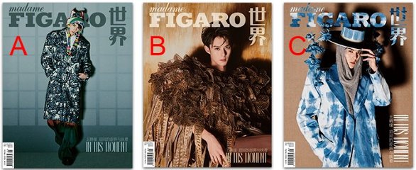 【メール便送料無料】雑誌/ Madame FIGARO 費加羅雜志 2023年3月 中国版　王鶴棣（ワン・ホーディー/Dylan Wang）：表紙3種類選択可！記事掲載！ マダムフィガロ　中国雑誌の画像