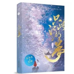 ドラマ小説/ 只此江湖夢 中国版　沈滄眉　與豔少同眠　中国書籍の画像