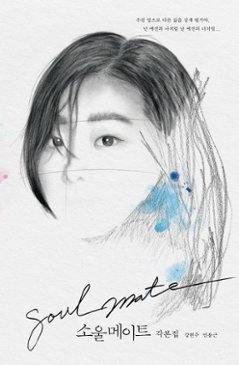 シナリオ/ソウルメイト 脚本集 韓国版 カン・ヒョンジュ ミン・ヨングン 台本集 韓国書籍の画像