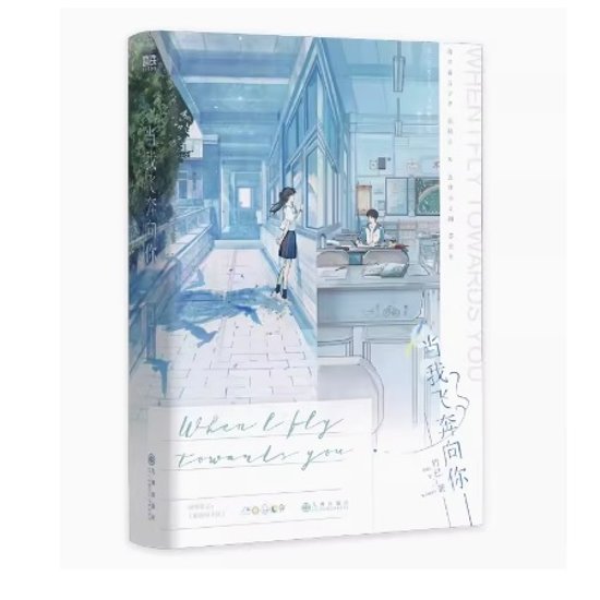 ドラマ小説/ 當我飛奔向你 中国版　 竹已　当我飛奔向你　她病得不輕　她病得不軽　中国書籍画像
