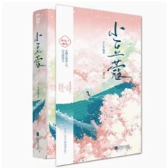 ドラマ小説/ 小豆蔻（全二冊）中国版　不止是顆菜　中国書籍の画像