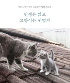 エッセイ/人生は短く、猫はかわいい 　韓国版 　イ・ヨンハン　韓国書籍の画像