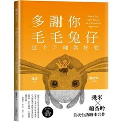 絵本 / 幾米（ジミー・リャオ）「多謝你毛毛兔仔，這个下晡真好耍」【台語版幾米經典繪本】台湾版　Jimmy Liao　台湾書籍の画像