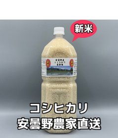 令和6年産・新米・2Lボトル【コシヒカリ白米1.8kg一等米】安曇野産自家製　送料無料（北海道・九州・沖縄は送料有料）の画像