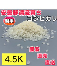 令和6年産・新米【コシヒカリ白米4.5kg一等米】安曇野産自家製　送料無料（北海道・九州・沖縄は送料有料)の画像