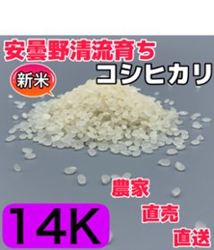 令和6年産・新米【コシヒカリ白米14kg一等米】安曇野産自家製　送料無料（北海道・九州・沖縄は送料有料）の画像