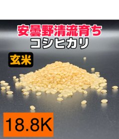 令和6年産・新米【コシヒカリ玄米18.8kg】安曇野産自家製　送料無料（北海道・九州・沖縄は送料有料）の画像