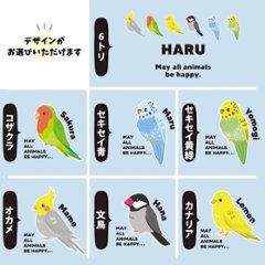 お名前入り 巾着 ナップサック人気商品 名入れ 一升餅 2way 鳥 オカメインコ 文鳥 セキセイインコ コザクラインコ カナリア（ 綿ナップ 鳥 ）出産祝いプレゼント チーム おそろい 名入れ画像