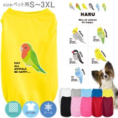 ペット服 鳥 オカメインコ 文鳥 セキセイインコ コザクラインコ カナリア 名入れ 服 犬 タンクトップ ドライ ペット メッシュ [ Pドライタンク 鳥 ] 国産 日本製 オーダーメイド お名前入 の画像