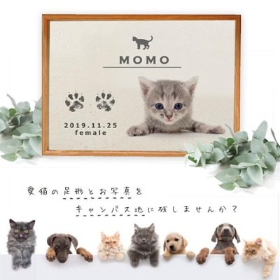 愛猫 手形 足形 写真入 [ 猫用 メモリアル キャンバス ] ナチュラル ネコ 成長記録 日付 性別 名前 命名 フォト フレーム 額 ねこ 記念 ペット 仏具 遺影 オーダー 位牌 お供え 家族 の画像