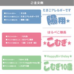 スタイ 名入れ お名前入り よだれかけ 出産祝い 愛犬 イヌ イエロードッグ 自己紹介 ベビー [ スタイ　ひとことネーム ] コメント 一言 言葉が入る お誕生日 プレゼント オリジナル 注意書き 画像