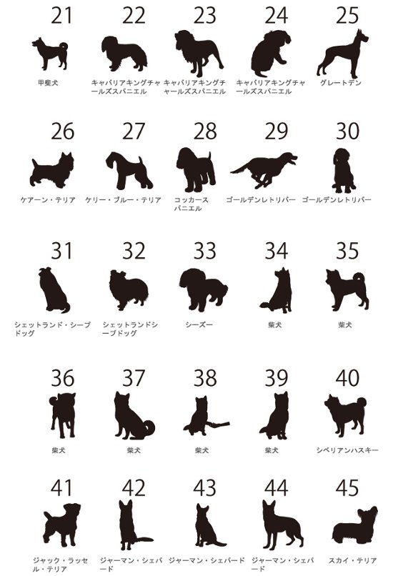 【宅配便商品】人気商品 名入れ ショルダー 肩掛け バッグ 愛犬用 （ 犬シルエット チャーム付 ショルダー バッグ ）名入れ ネーム 名前 犬種 散歩 犬 イヌ いぬ お出掛け ペット画像