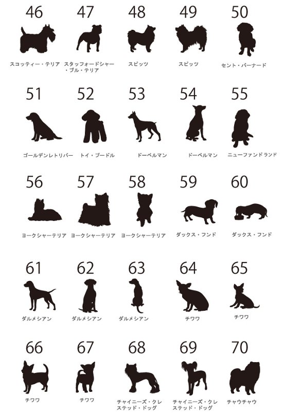 【宅配便商品】人気商品 名入れ ショルダー 肩掛け バッグ 愛犬用 （ 犬シルエット チャーム付 ショルダー バッグ ）名入れ ネーム 名前 犬種 散歩 犬 イヌ いぬ お出掛け ペット画像