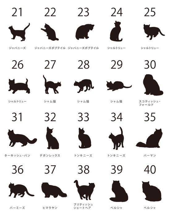 人気商品 名入れ ショルダー 肩掛け バッグ 愛猫用 （ 猫シルエットラベル 多機能バッグ）名入れ ネーム 名前 猫種 マザー 猫 ネコ ねこ CAT name cat ニャン にゃん お出掛け画像