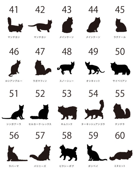 人気商品 名入れ ショルダー 肩掛け バッグ 愛猫用 （ 猫シルエットラベル 多機能バッグ）名入れ ネーム 名前 猫種 マザー 猫 ネコ ねこ CAT name cat ニャン にゃん お出掛け画像